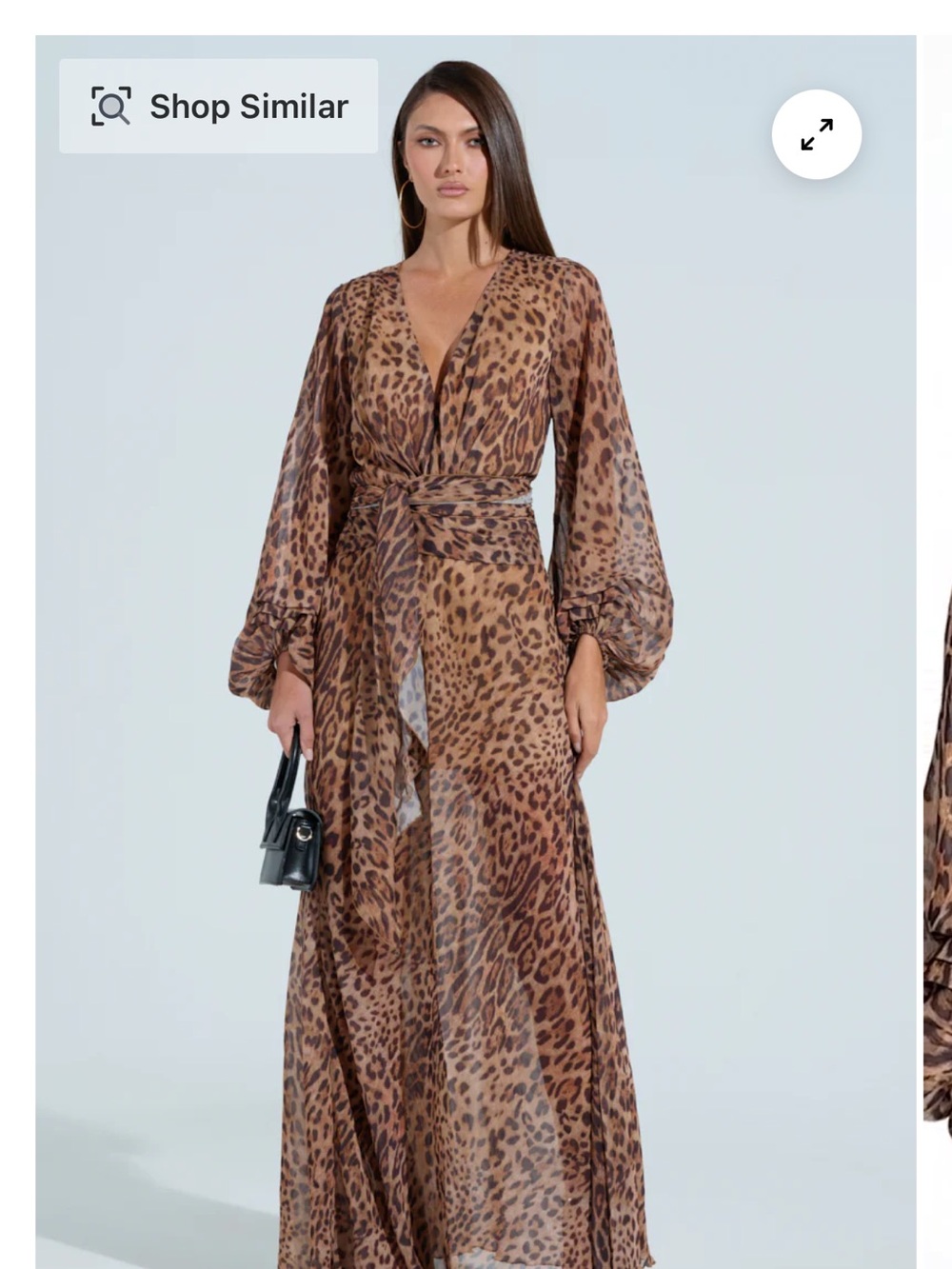 AKIRA Cheetah Dress, lightweight bell sleeves, integrated mini slip, side zip.